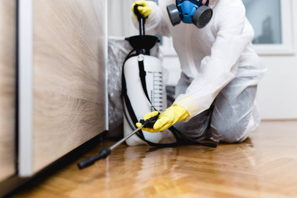 Wildlife Control Services in North Gates, NY
